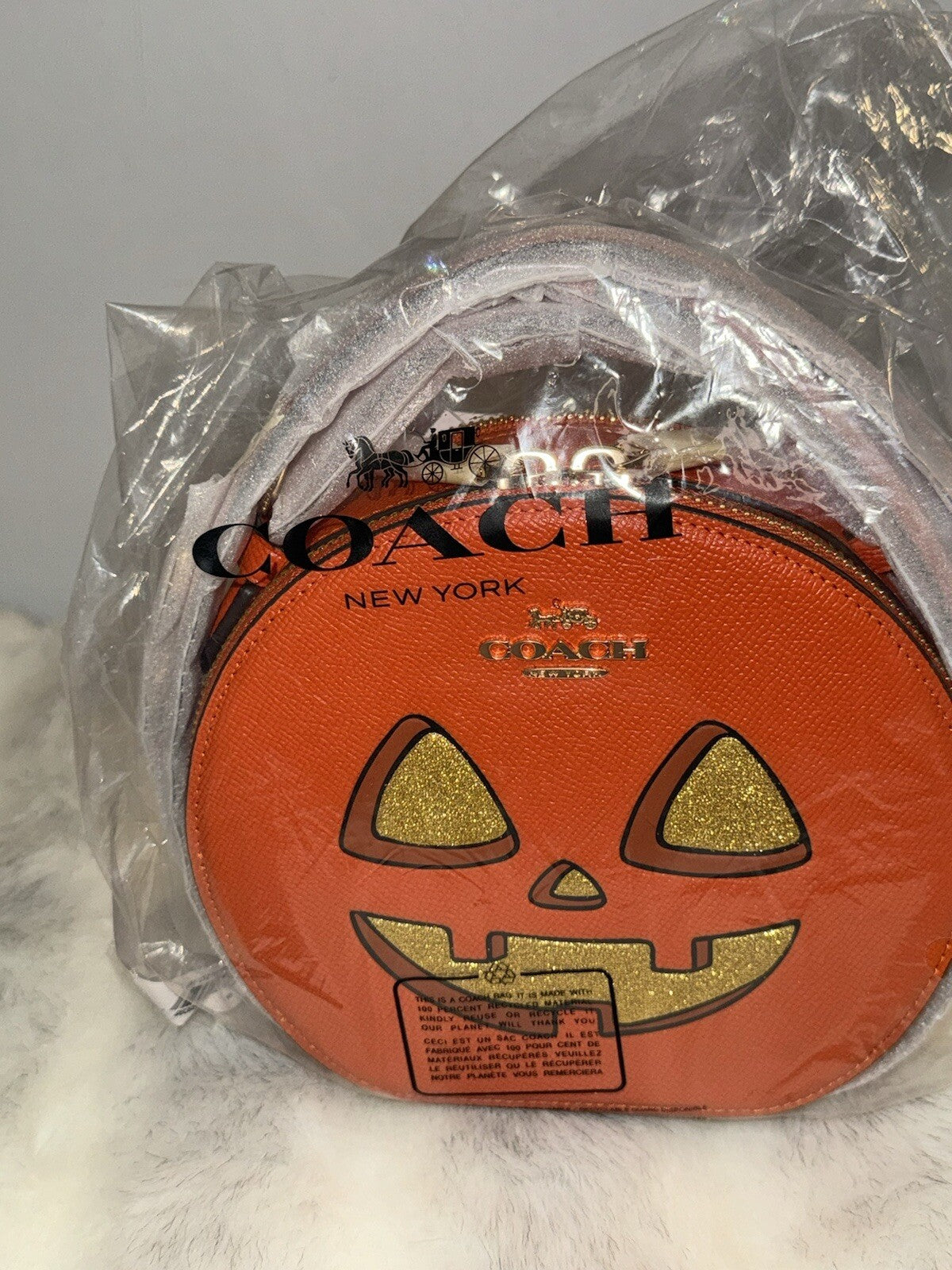 NWT Coach Canteen Crossbody Bag With Halloween Pumpkin CW468 2024 🎃💀!